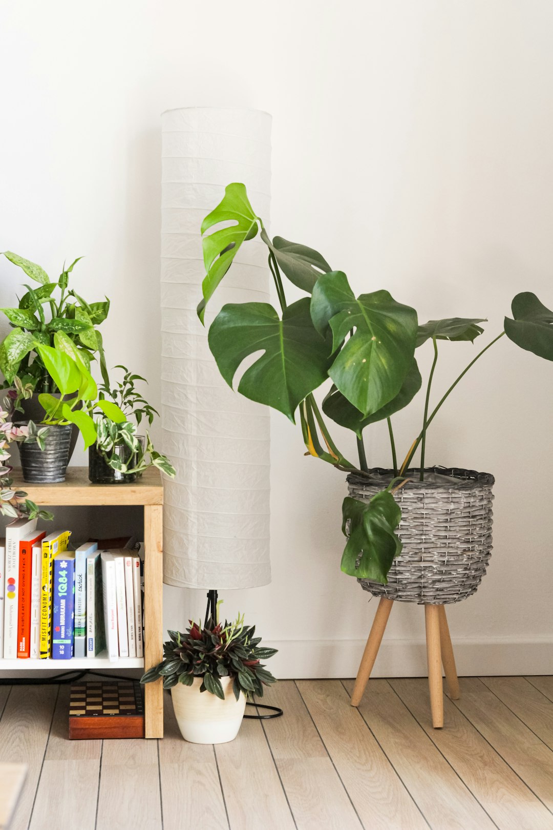 Bright living room styled with fiddle-leaf fig, pothos, and monstera plants.