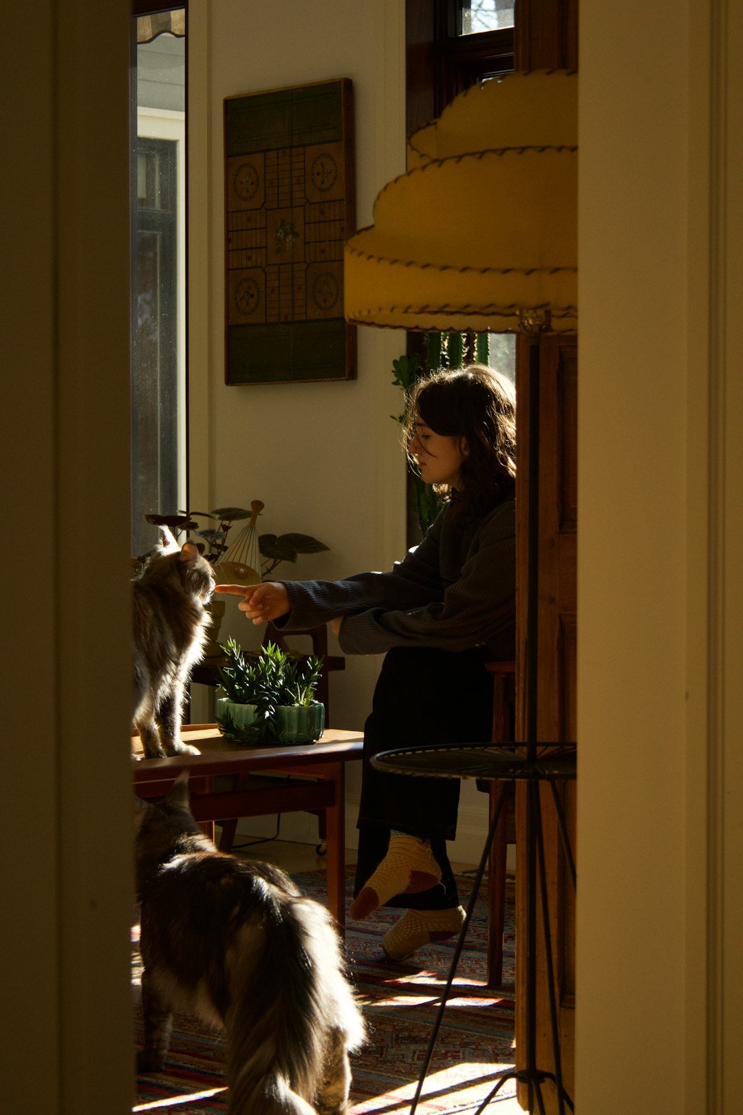 rescue dog standing cautiously in a cozy home doorway