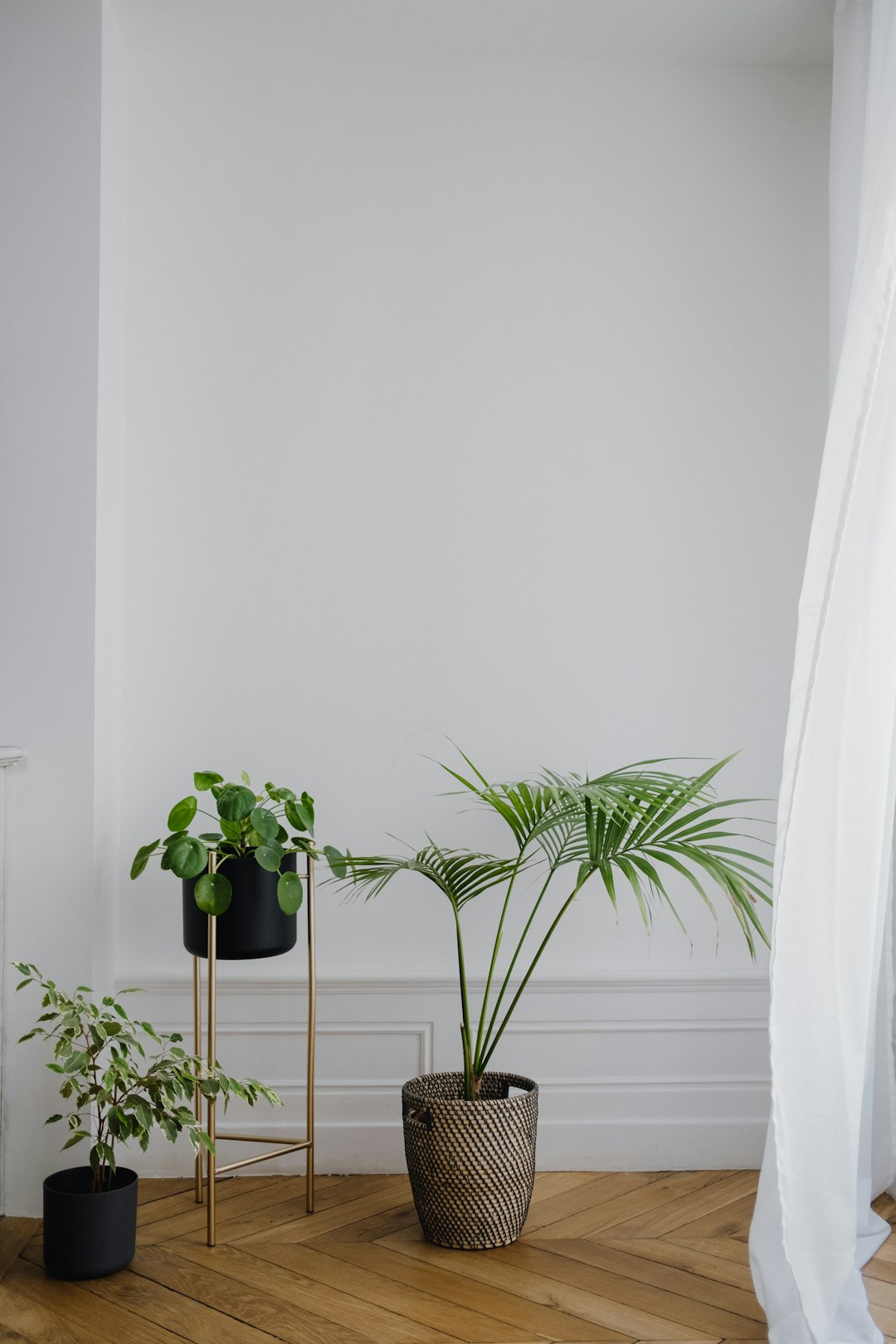 Styled indoor plant ladder shelf with LED grow lights
