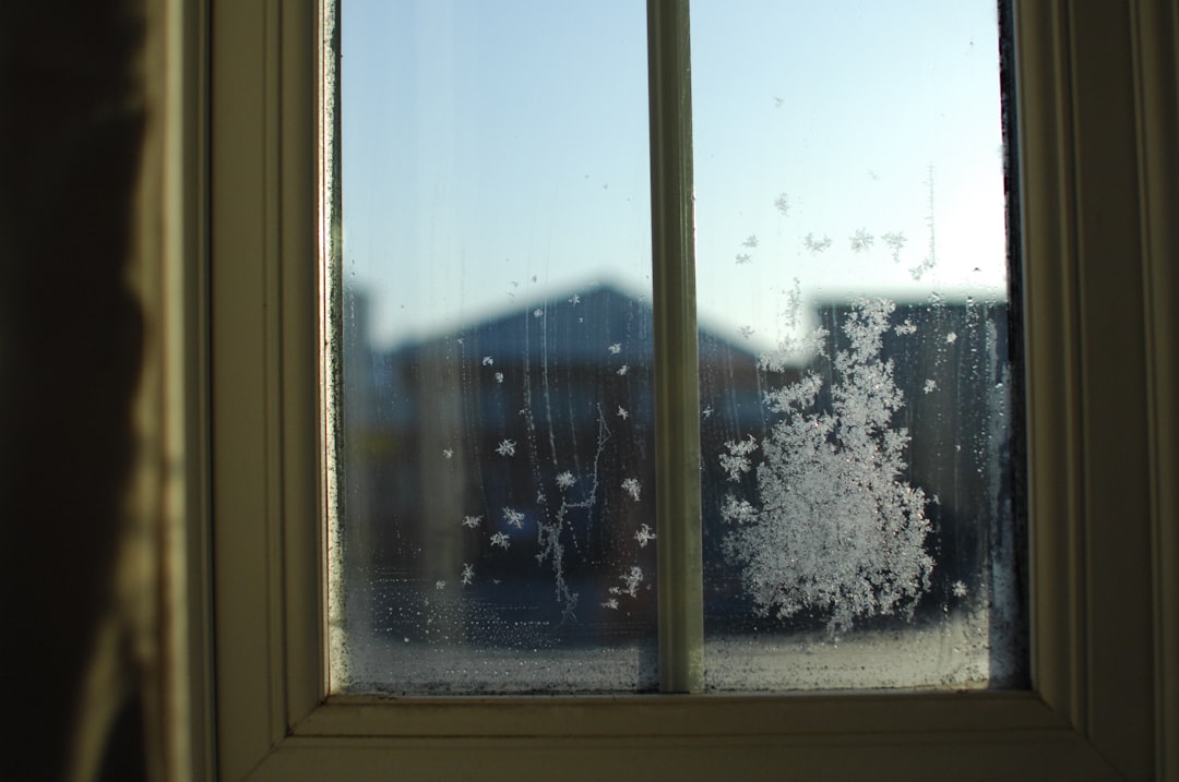 Houseplant collection near a frost-edged window in a cozy winter apartment
