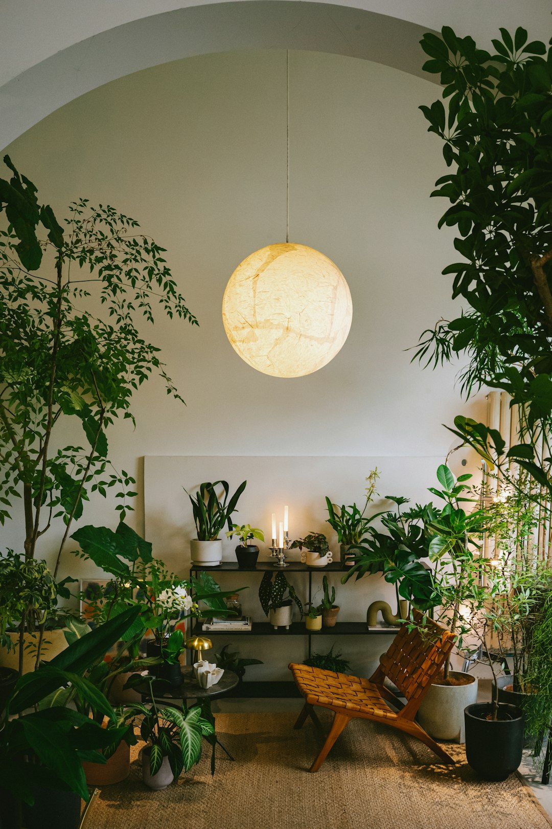 Golden hour tropical plant corner with calathea, fern, and philodendron in cozy interior