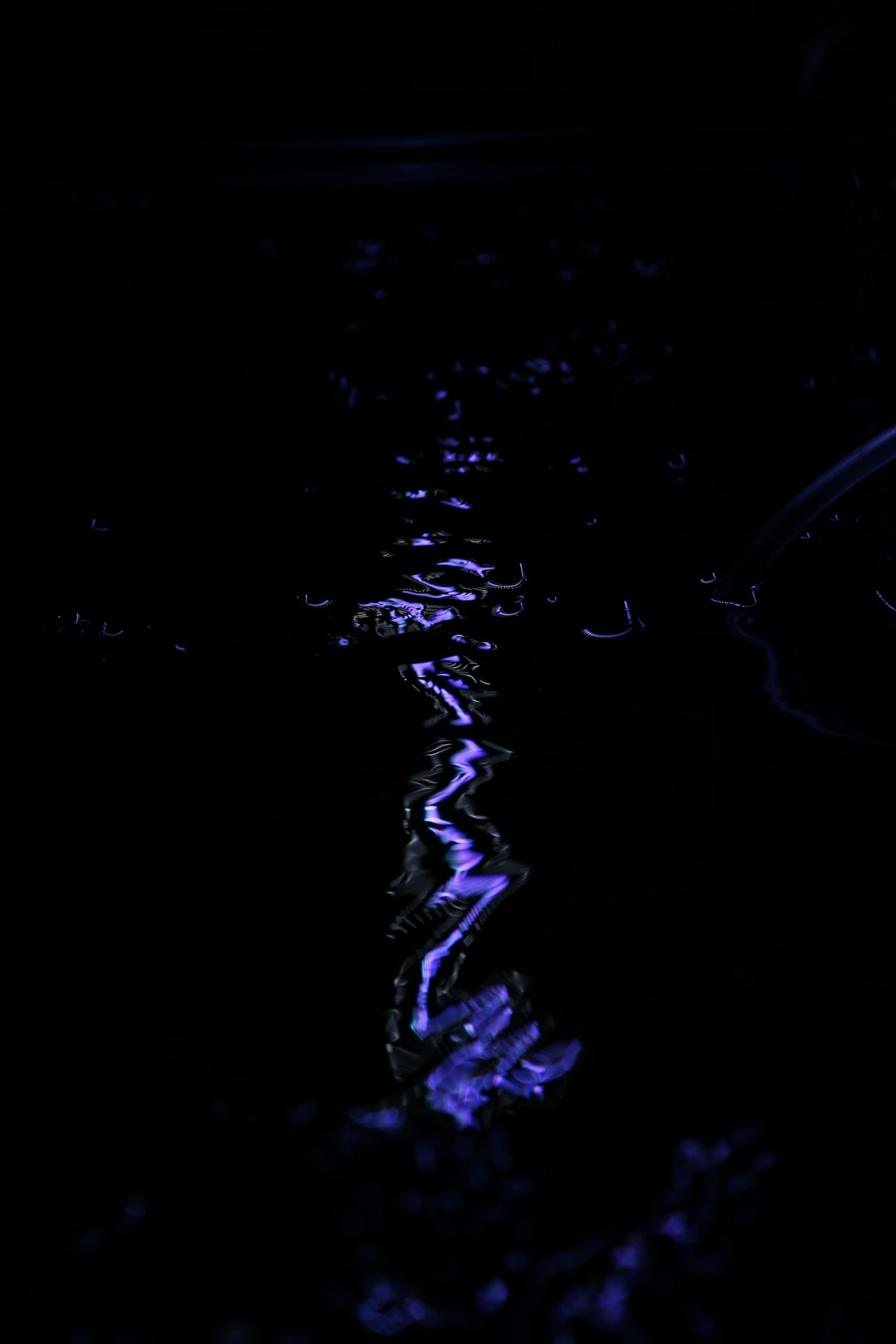 Glowing bioluminescent deep sea creature in dark water