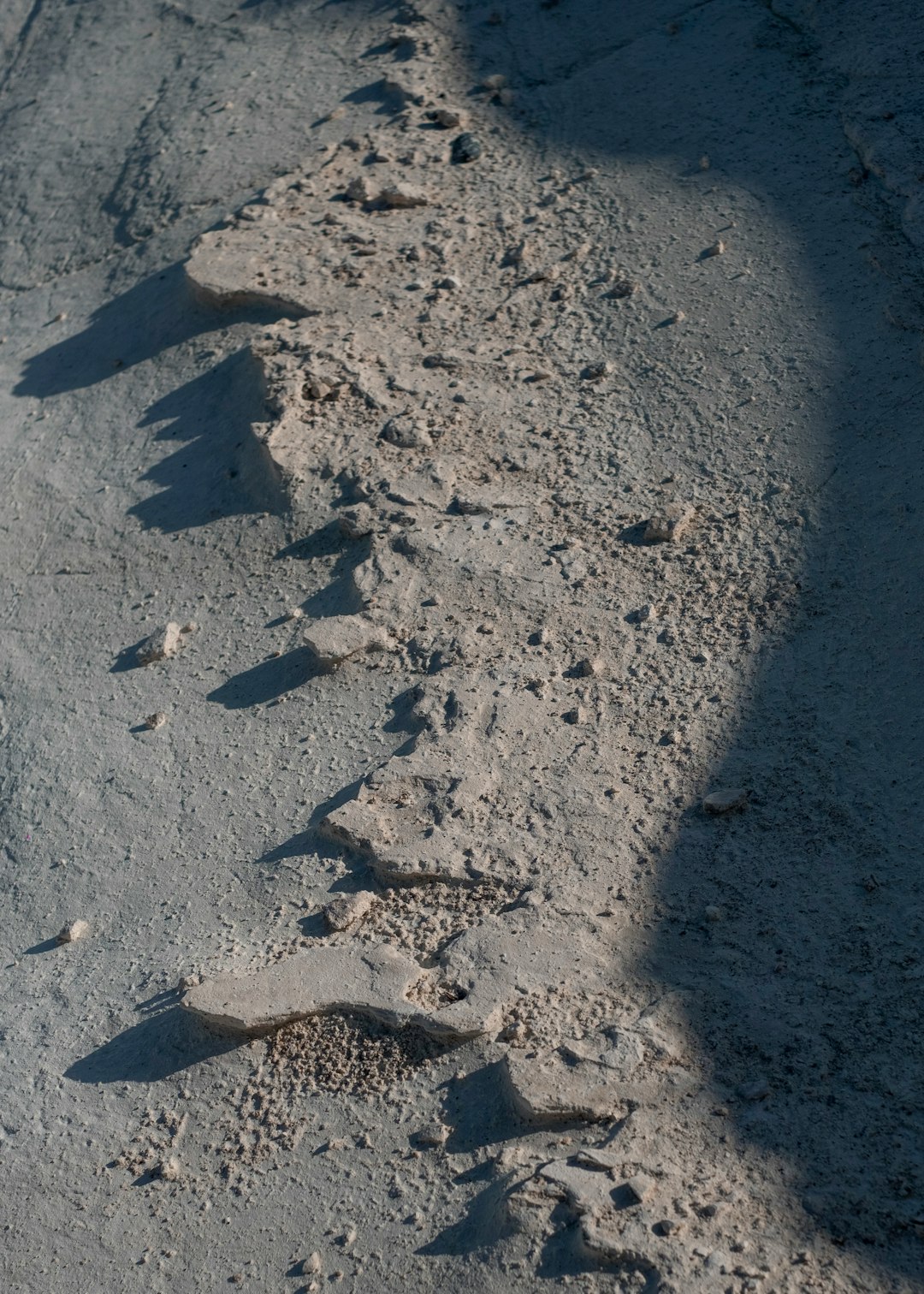 Lunar rover silhouette on moon surface at low sun angle