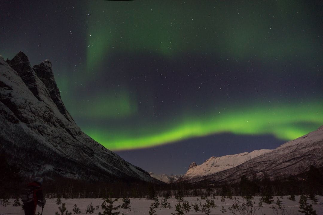 Aurora borealis glowing green and violet over snowy landscape