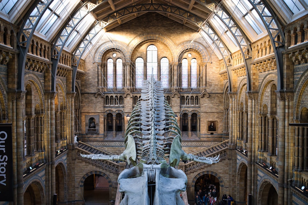Kerangka T-rex lengkap di museum sejarah alam