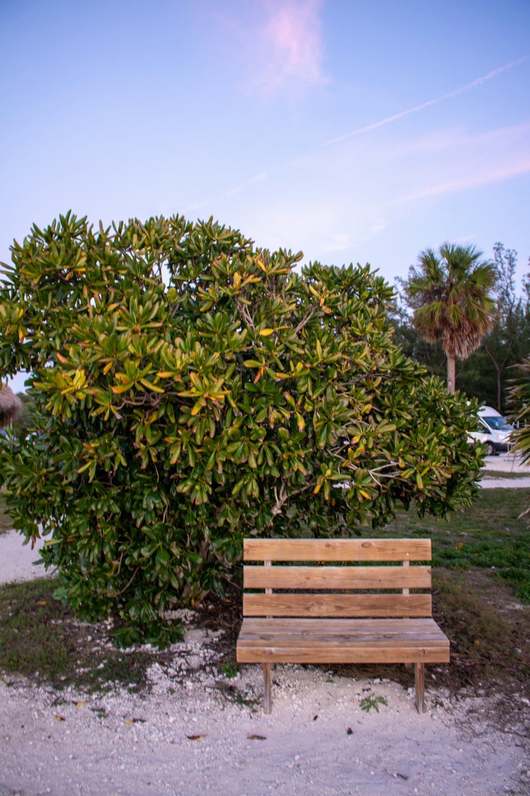 Empty park bench at dusk with folded jacket, no devices