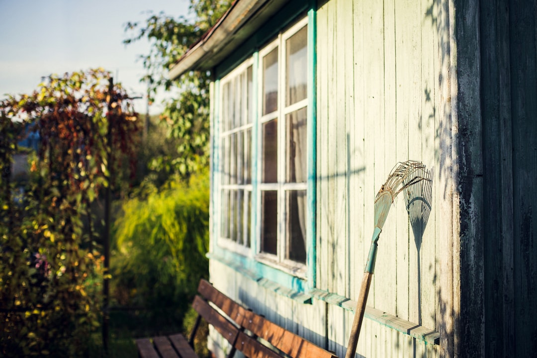 Converted garden shed home office exterior in morning light