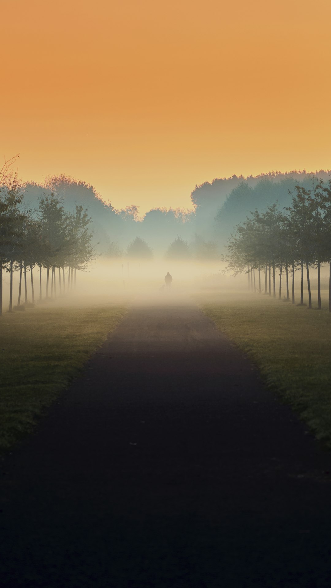 Person walking alone on a quiet tree-lined path