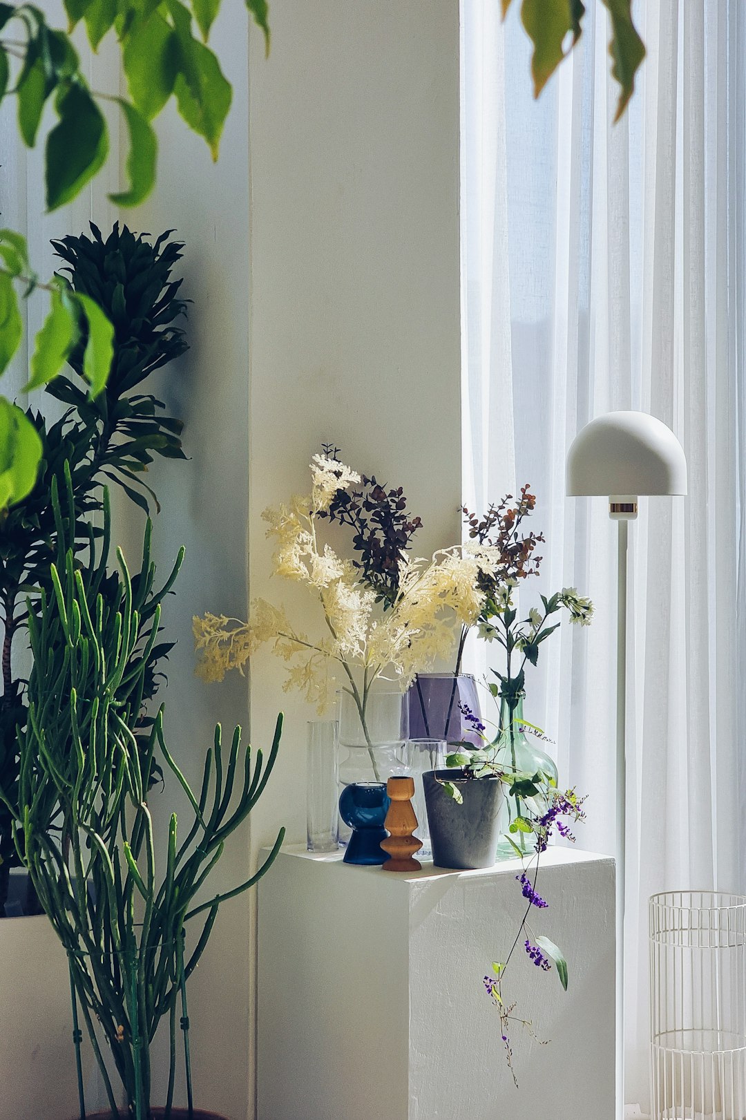 Tiered home hydroponic shelf with herbs and greens under grow lights