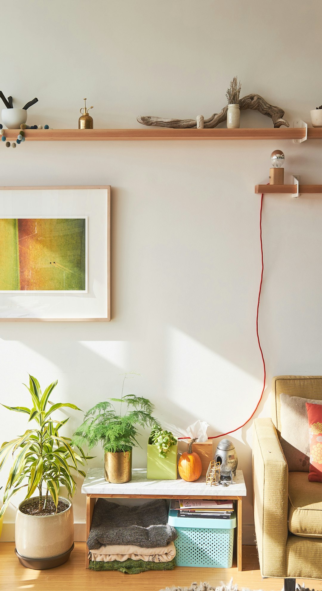 Worm bin under a shelf of healthy houseplants in a bright apartment