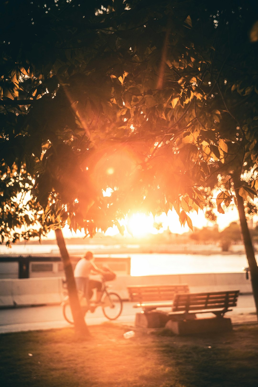 Person lacing up running shoes on park bench at golden hour