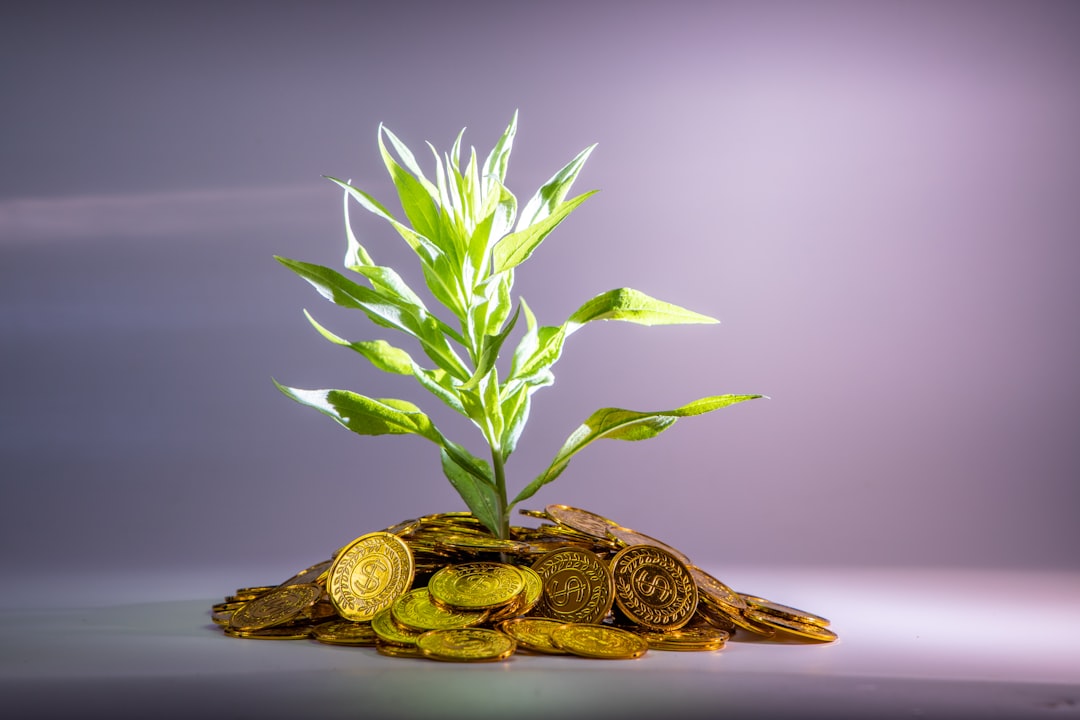 Seedling growing from coins symbolizing startup investment