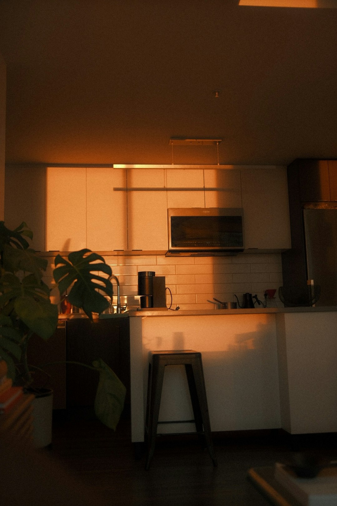 Sunlit apartment kitchen shelf with thriving indoor salad garden in terracotta planters