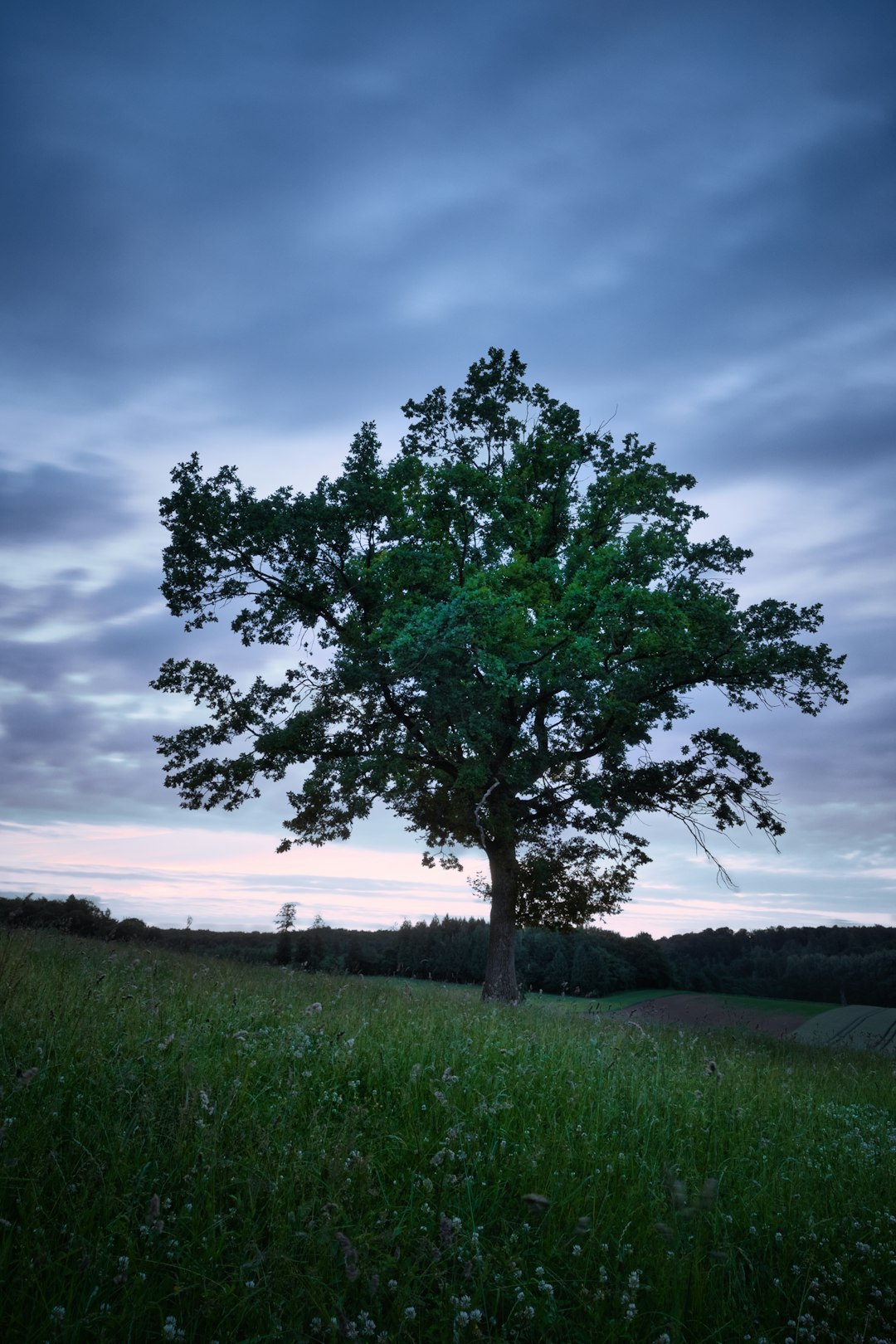 Lightning bolt striking lone tree on open field at night
