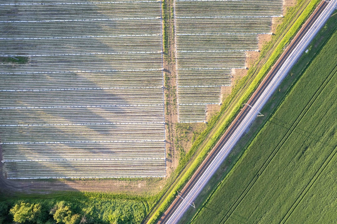 Agricultural field at golden hour with tractor