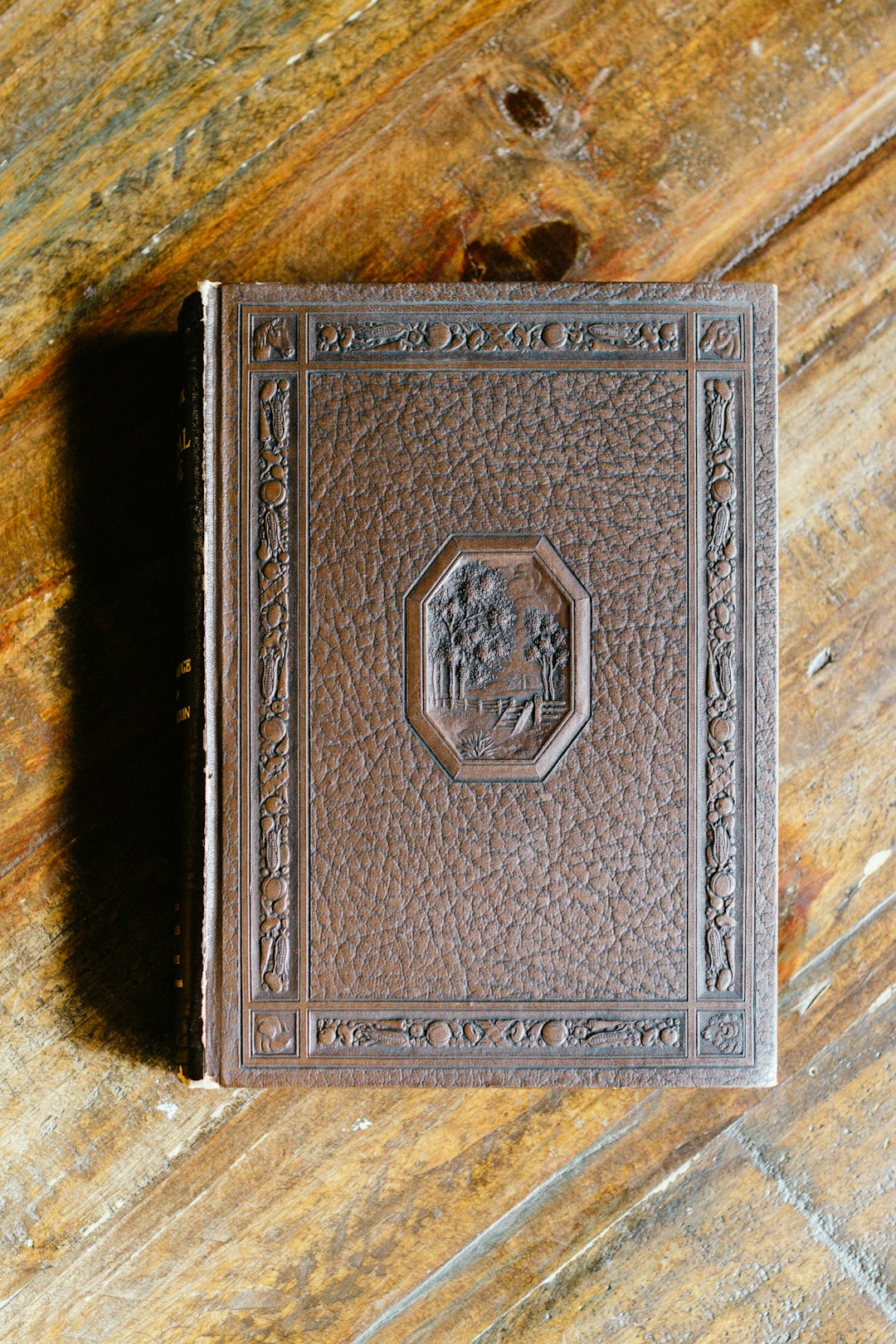 Vieux livre relié en cuir sur une étagère en bois