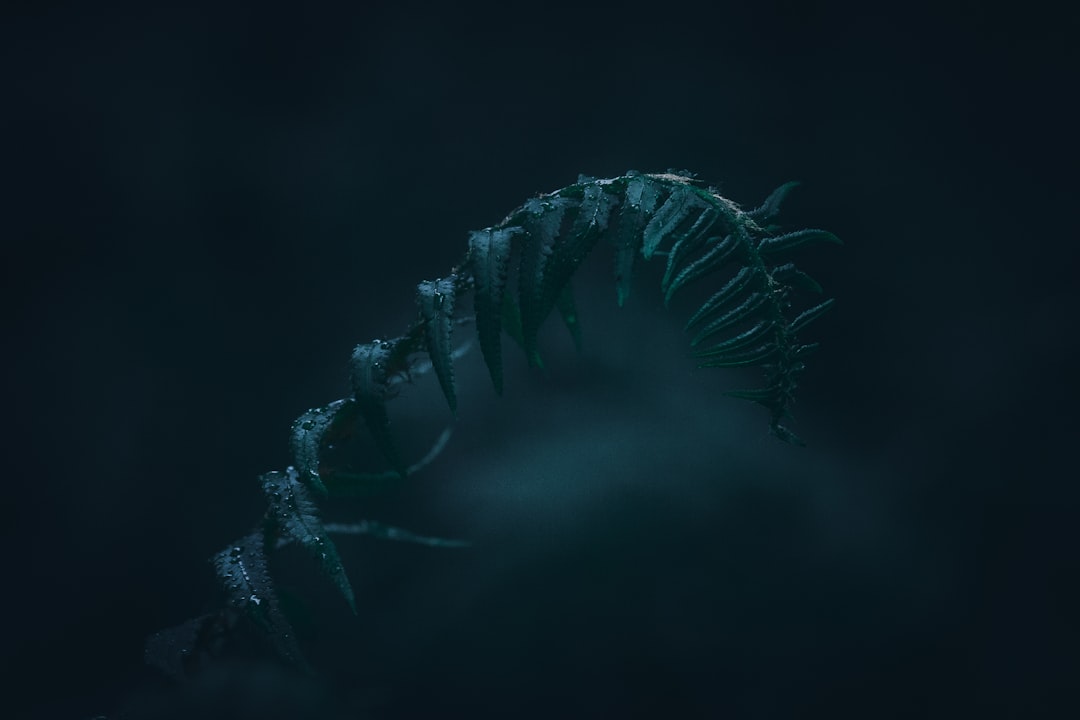 Walskelett auf dem dunklen Meeresgrund mit Biolumineszenz