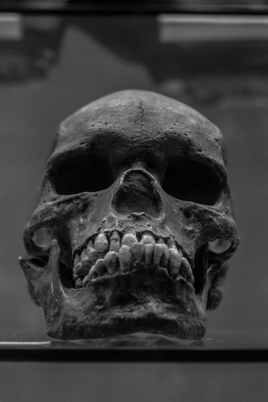 Cráneo neandertal iluminado dramáticamente sobre superficie oscura