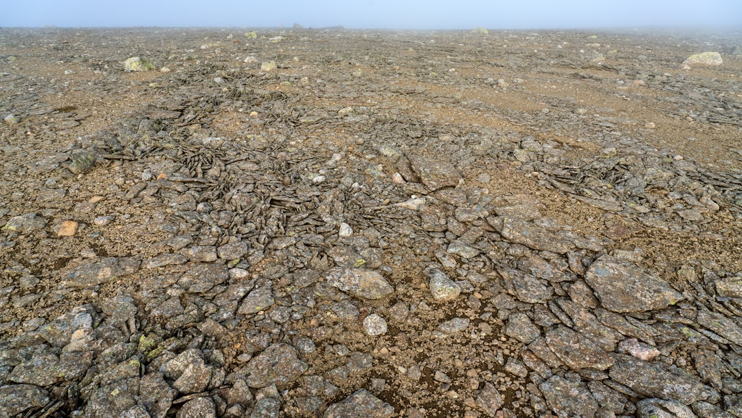 Seismometer sensor installed in rocky ground at dusk