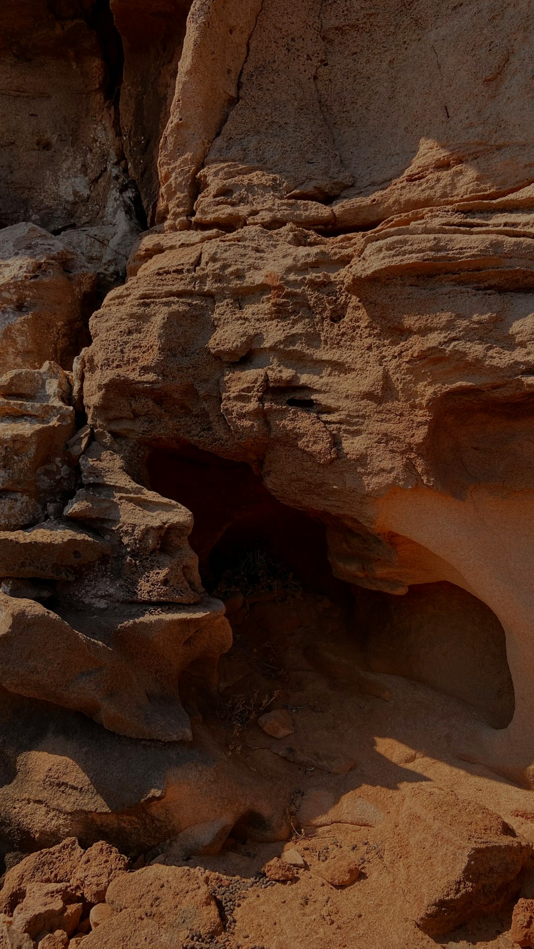 Fossilized dinosaur skull embedded in rock matrix