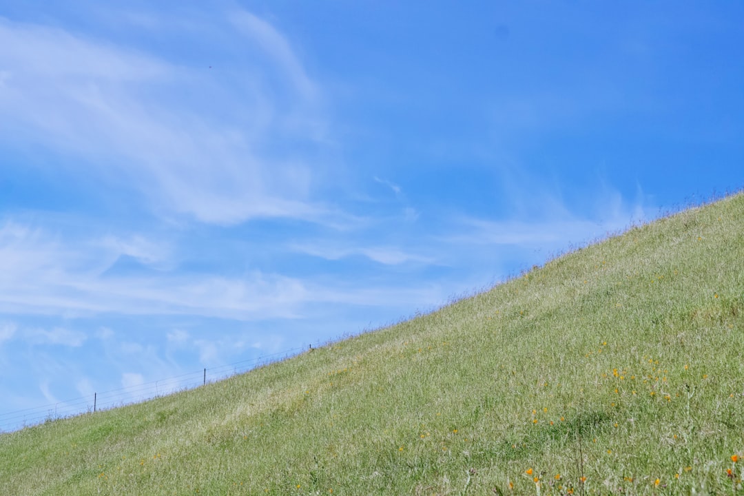 Bukit hijau dengan langit biru cerah, mirip wallpaper Windows XP