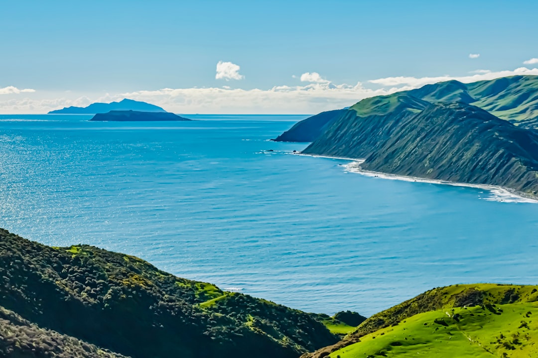 Aerial view of Pacific Ocean near New Zealand coastline