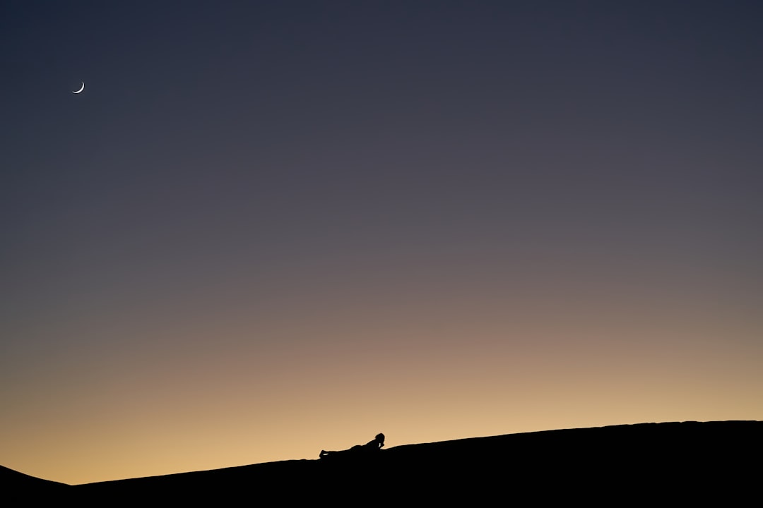 Fennec fox at burrow entrance at desert sunset