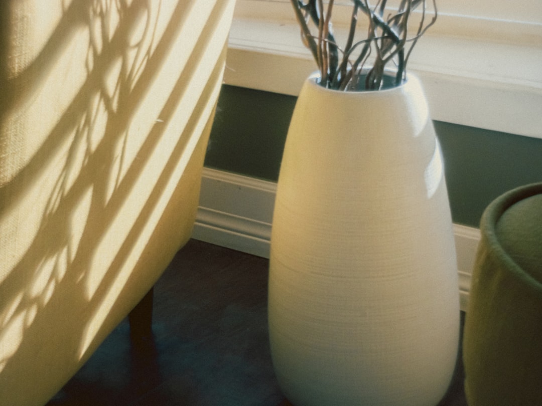 Large bird of paradise plant in white ceramic pot by a sunny window