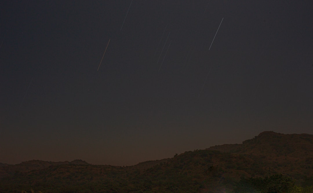 Wide night sky showing multiple meteor streaks over dark treeline