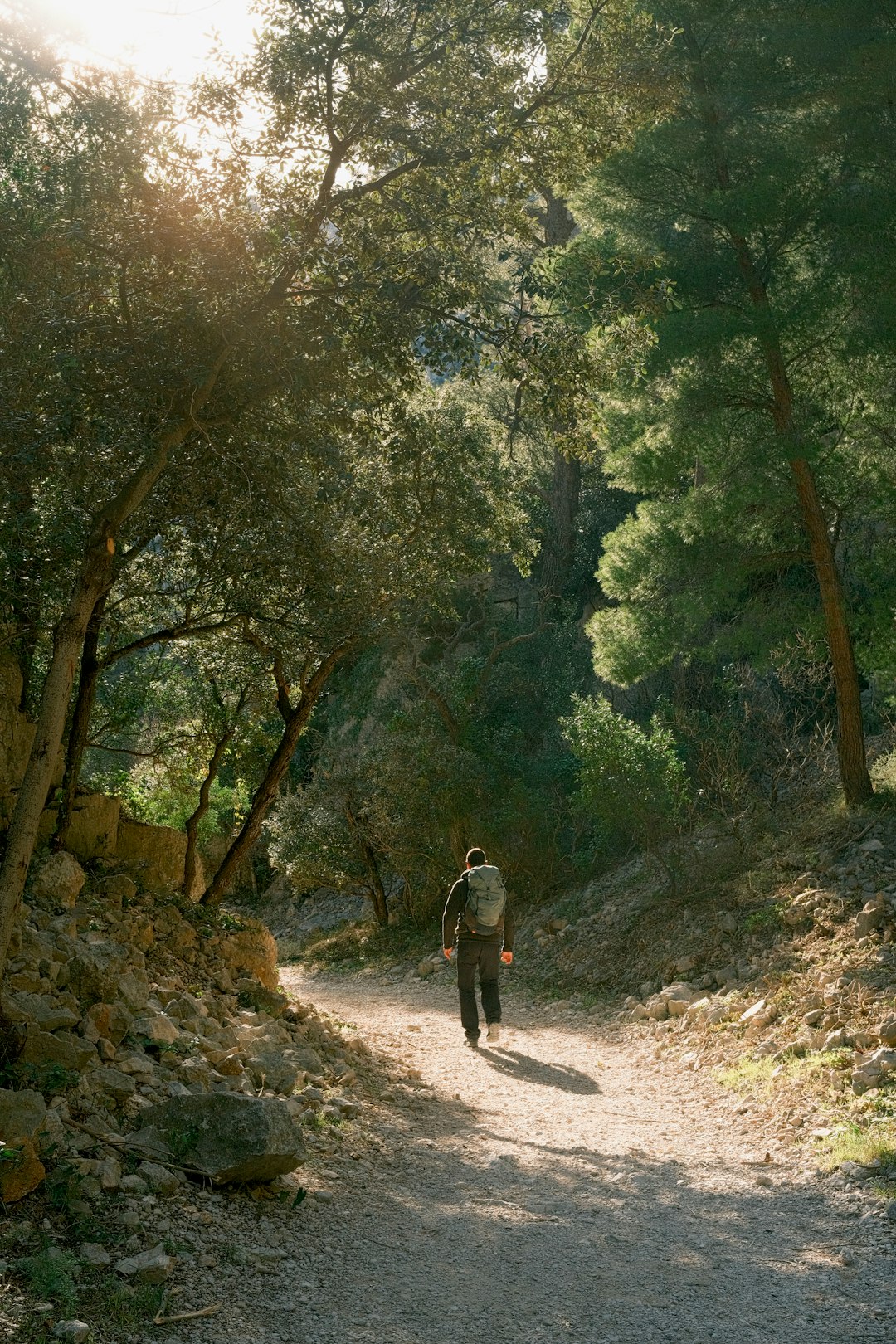 Person navigating a forest trail using sound perception