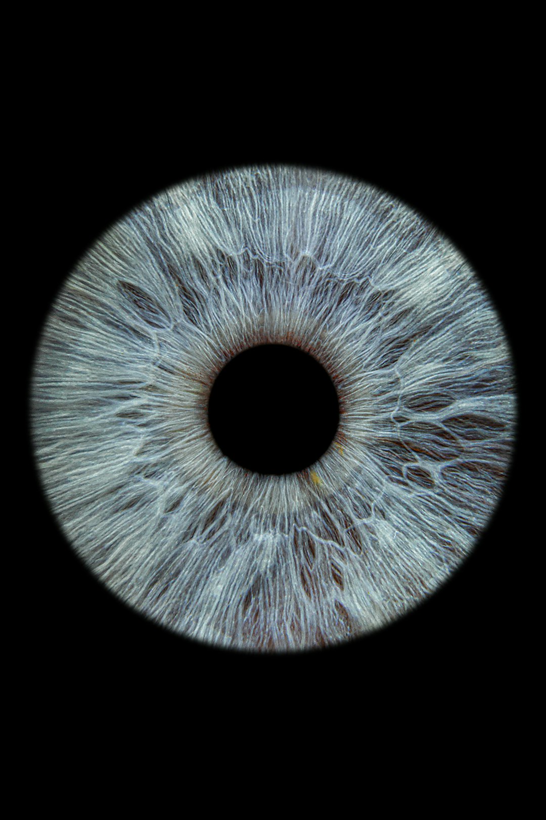 Eye reflected in smartphone face scan screen