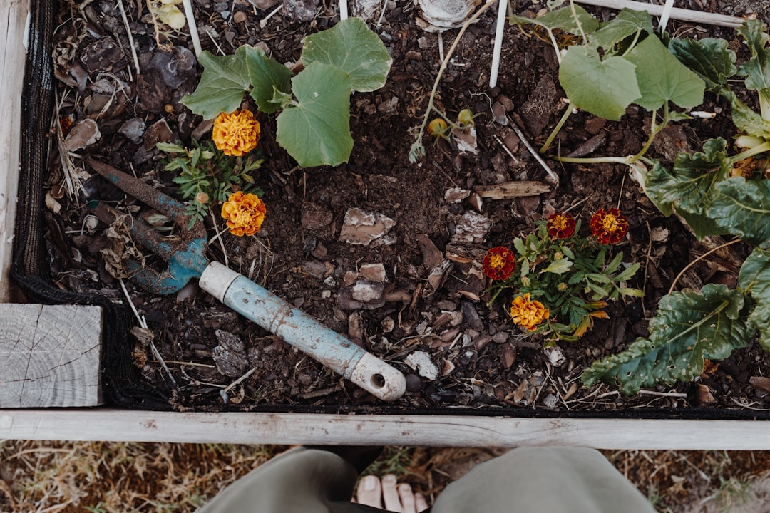 Garden planning flat lay with bed layout sketch, seed packets, and secateurs.