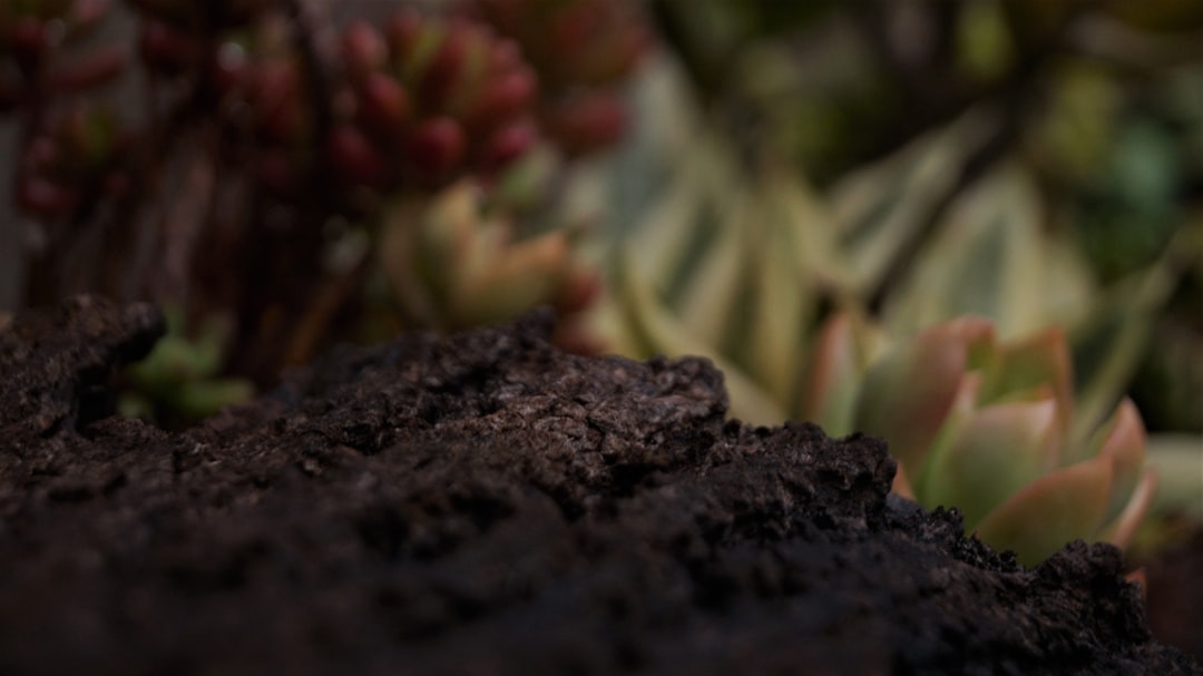 Hand pressing fingers into moist spring garden soil to test workability.