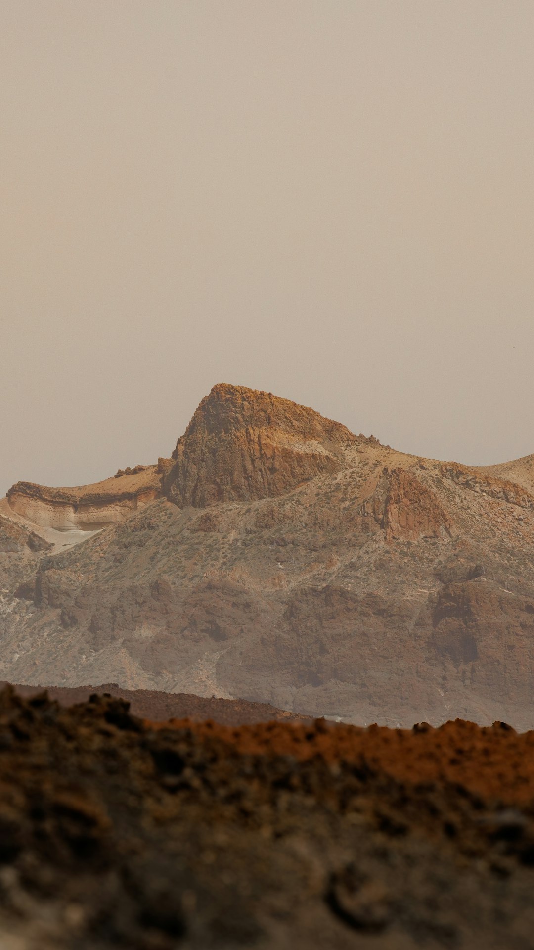 Alien exoplanet surface with gas giant visible in sky