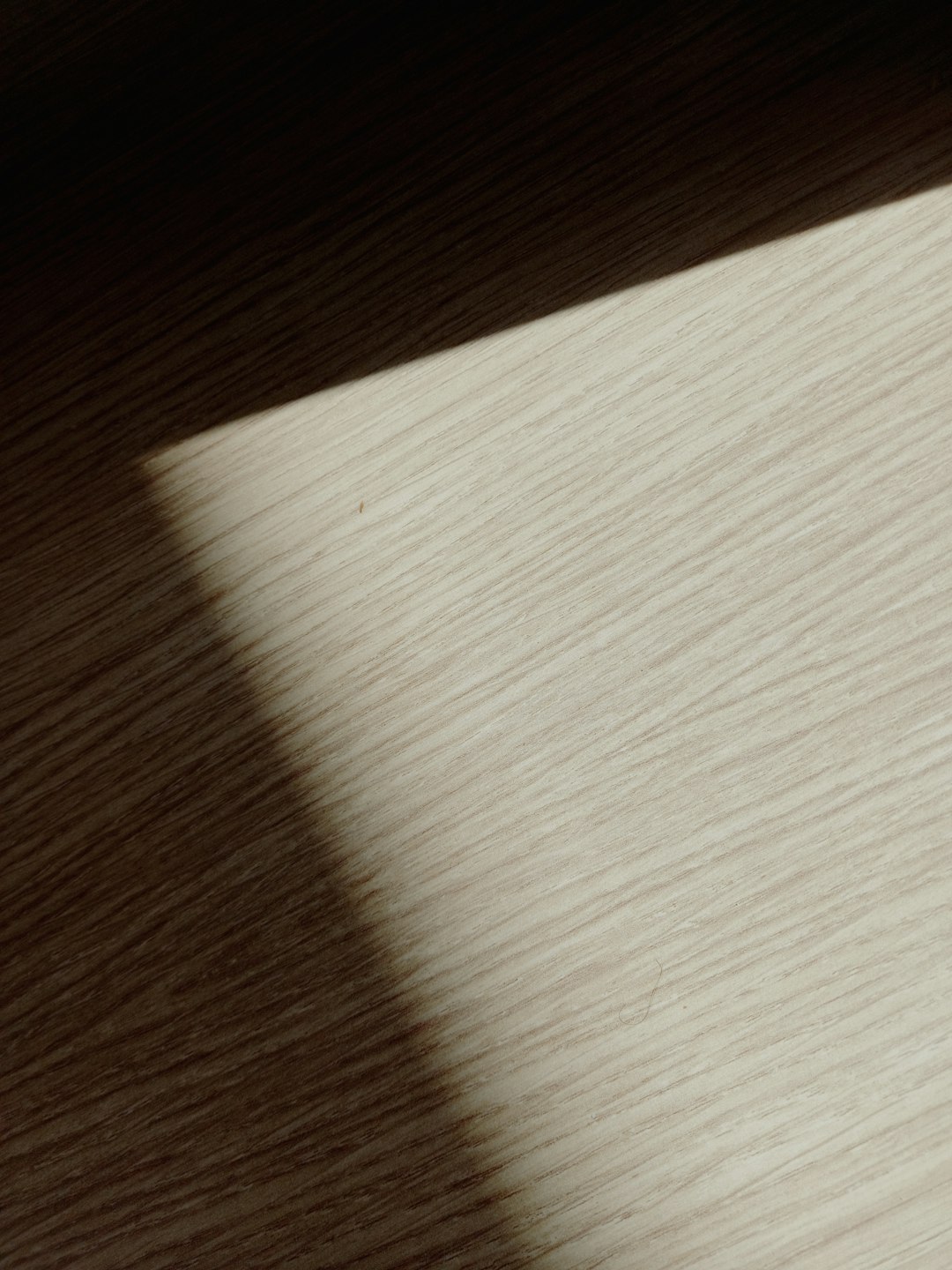 Close-up of fabric swatches in different colors under sunlight