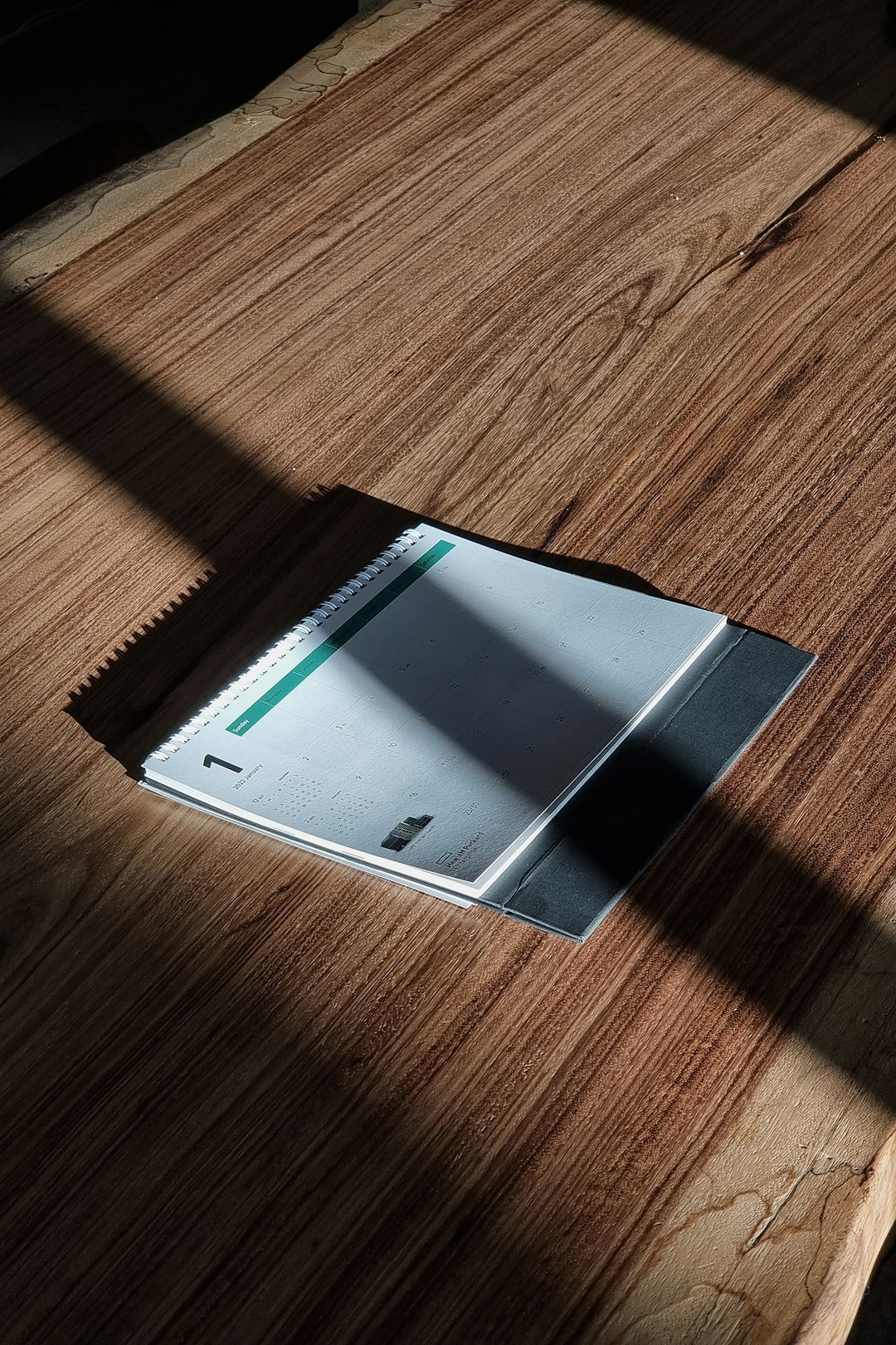 E-reader displaying text in bright natural sunlight